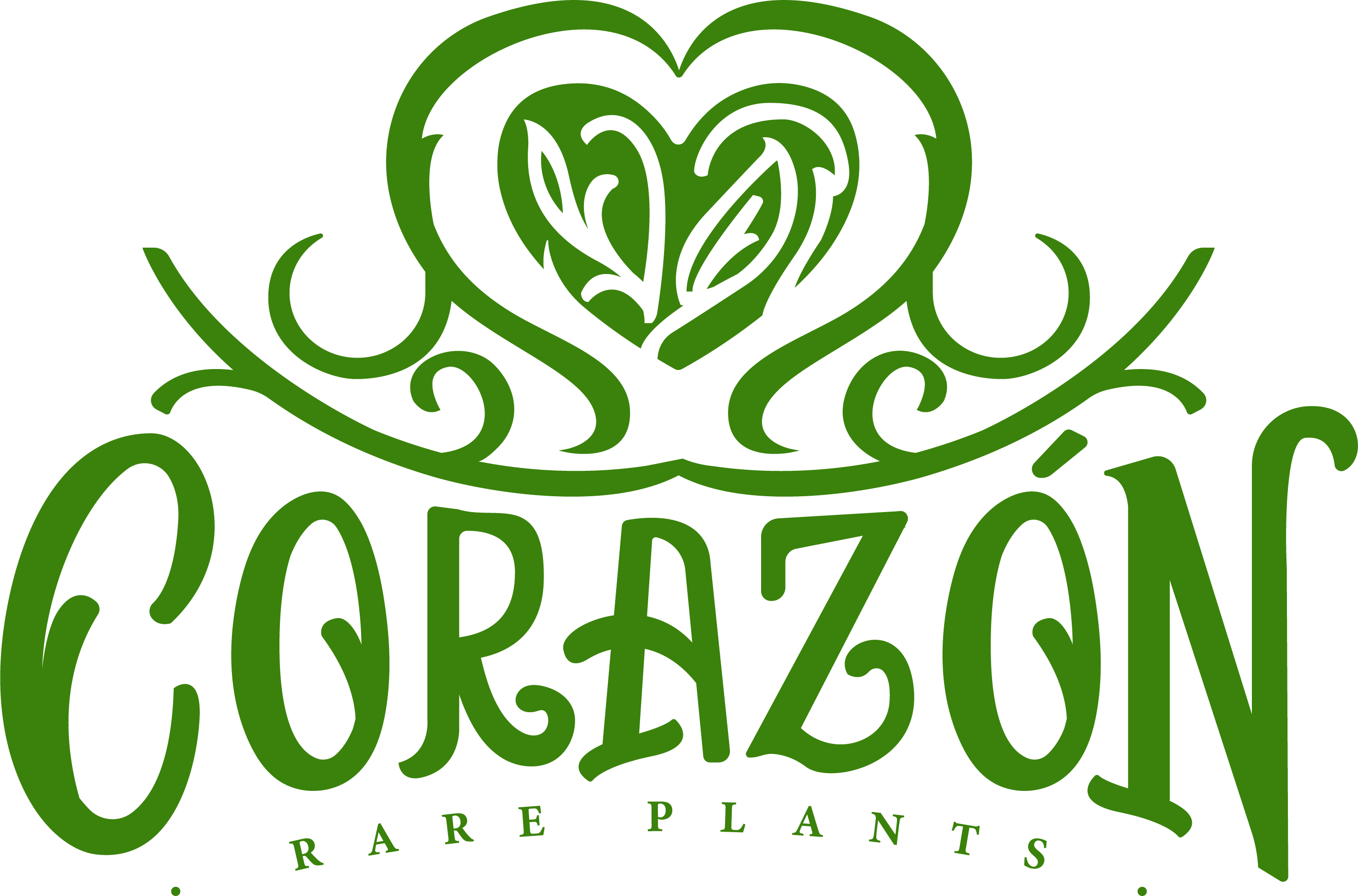 Corazon Rare Plants-